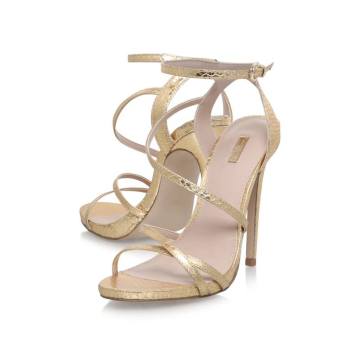 14470812_10153741952596436_733132924_n